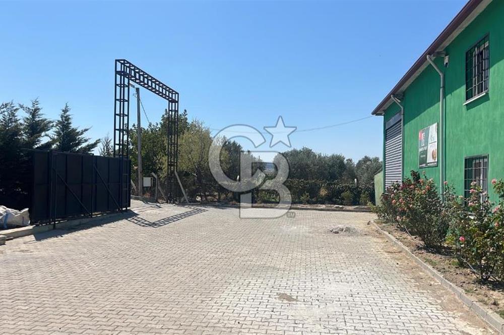 İzmir Kınık - Bergama Yolu Üzeri  Satılık 90.000m2 Kurulu Çiftlik(Meyva üretim)