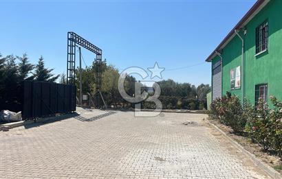 İzmir Kınık - Bergama Yolu Üzeri  Satılık 90.000m2 Kurulu Çiftlik(Meyva üretim)
