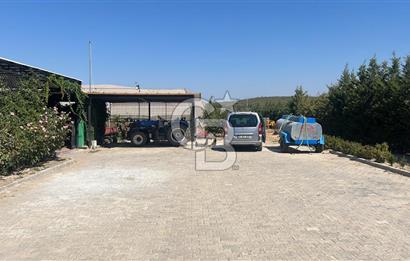 İzmir Kınık - Bergama Yolu Üzeri  Satılık 90.000m2 Kurulu Çiftlik(Meyva üretim)