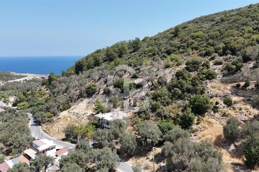 Denize Yakın, Doğa İçinde Karaburun'da Satılık Müstakil Ev