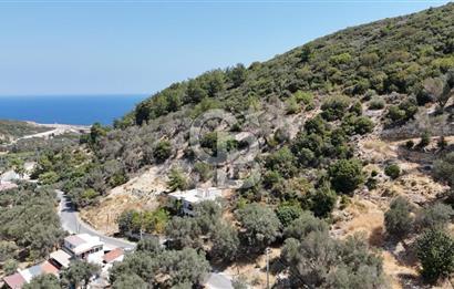 Denize Yakın, Doğa İçinde Karaburun'da Satılık Müstakil Ev