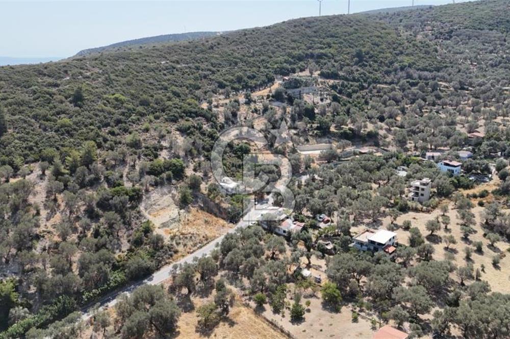 Denize Yakın, Doğa İçinde Karaburun'da Satılık Müstakil Ev