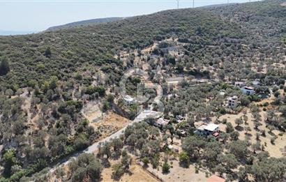 Denize Yakın, Doğa İçinde Karaburun'da Satılık Müstakil Ev
