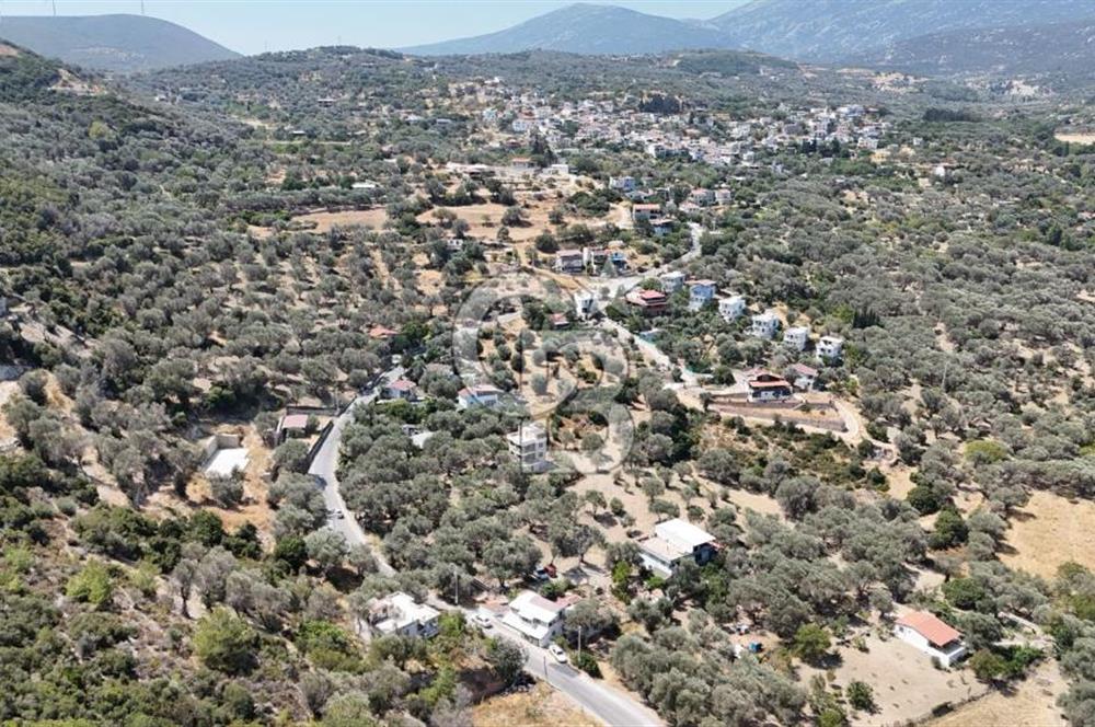 Denize Yakın, Doğa İçinde Karaburun'da Satılık Müstakil Ev