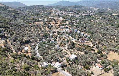 Denize Yakın, Doğa İçinde Karaburun'da Satılık Müstakil Ev
