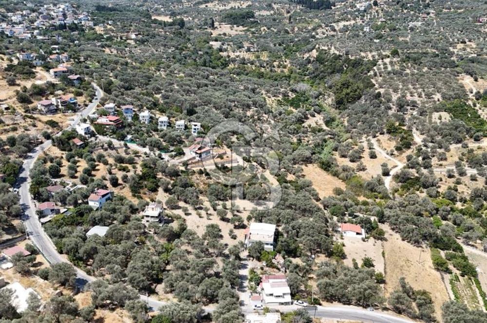 Denize Yakın, Doğa İçinde Karaburun'da Satılık Müstakil Ev