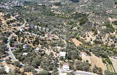 Denize Yakın, Doğa İçinde Karaburun'da Satılık Müstakil Ev