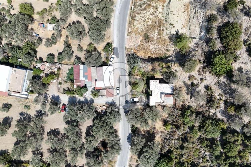Denize Yakın, Doğa İçinde Karaburun'da Satılık Müstakil Ev