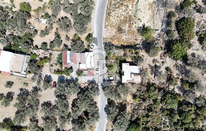 Denize Yakın, Doğa İçinde Karaburun'da Satılık Müstakil Ev