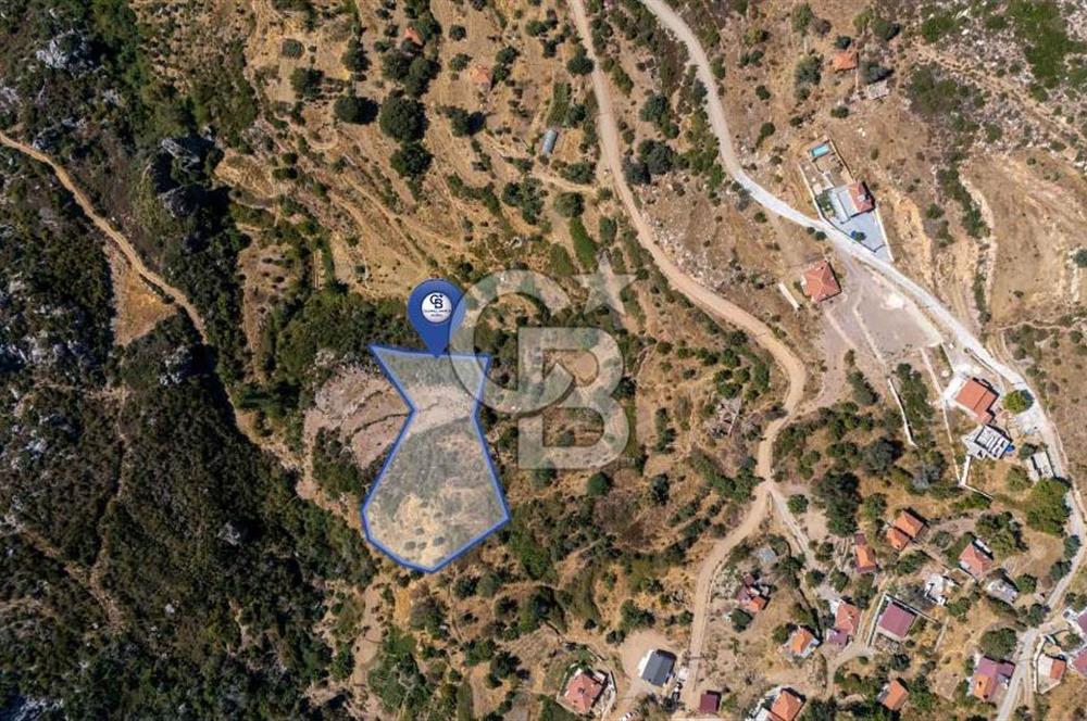 CB MARİNA'DAN ZEYTİNKÖY'DE AKBÜK'E 10 DK SATILIK "TARLA"