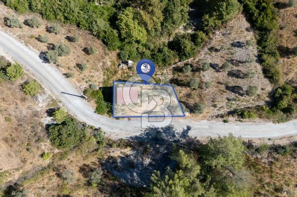 CB MARİNA'DAN ZEYTİNKÖY'DE HOBİ BAHÇESİ SATILIK "ZEYTİNLİK"