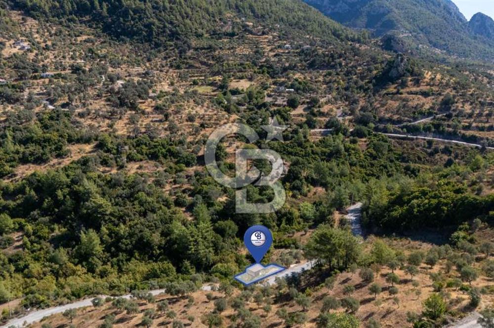 CB MARİNA'DAN ZEYTİNKÖY'DE HOBİ BAHÇESİ SATILIK "ZEYTİNLİK"