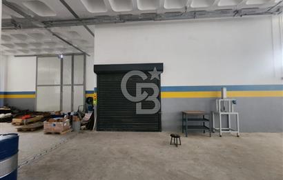 Silivri Selimpaşa Kiralık Fabrika & Üretim Tesisi