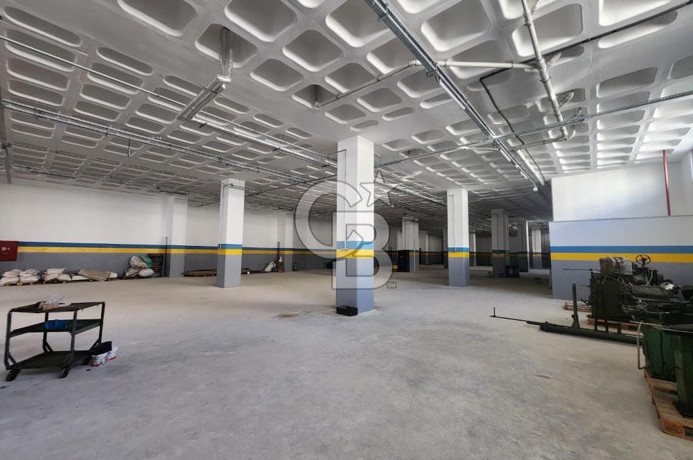 Silivri Selimpaşa Kiralık Fabrika & Üretim Tesisi