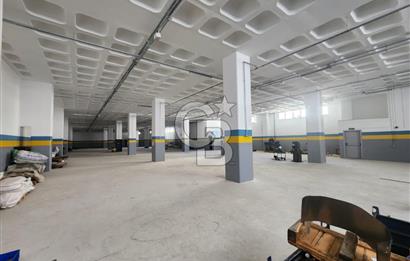 Silivri Selimpaşa Kiralık Fabrika & Üretim Tesisi