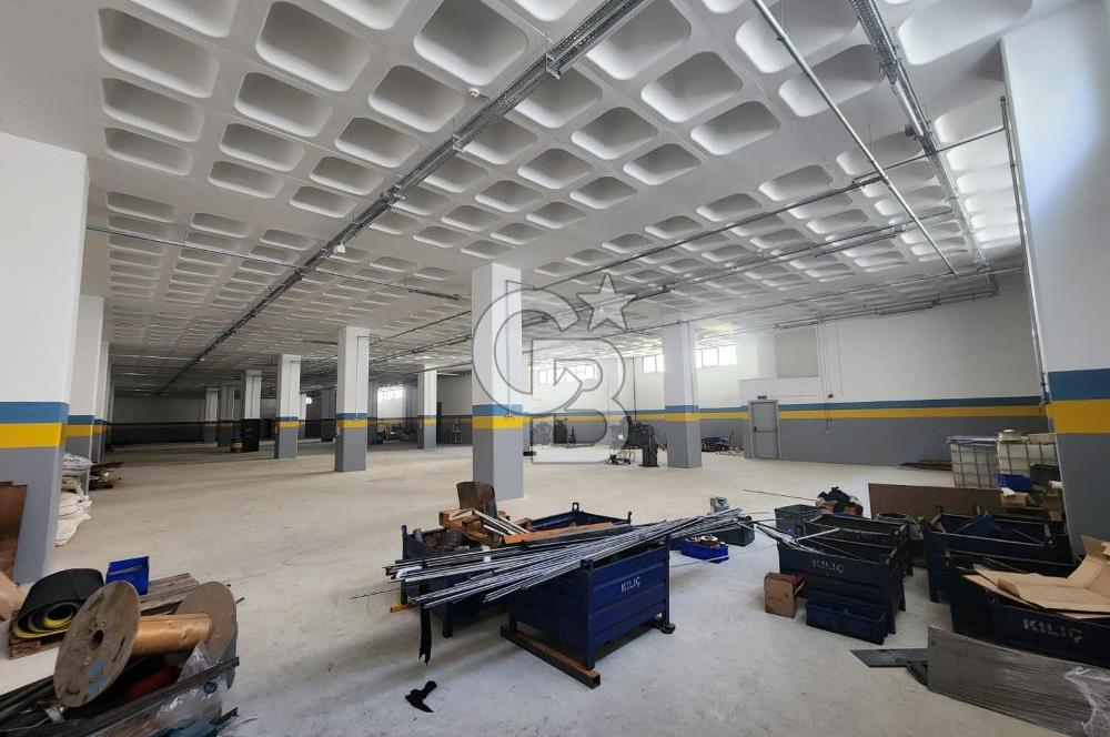 Silivri Selimpaşa Kiralık Fabrika & Üretim Tesisi