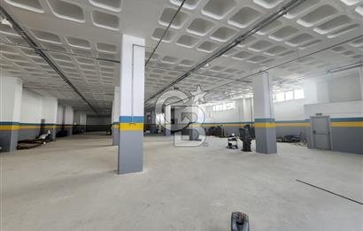 Silivri Selimpaşa Kiralık Fabrika & Üretim Tesisi
