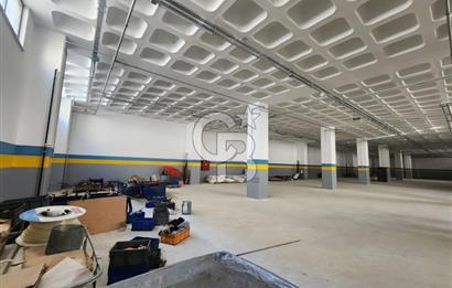 Silivri Selimpaşa Kiralık Fabrika & Üretim Tesisi