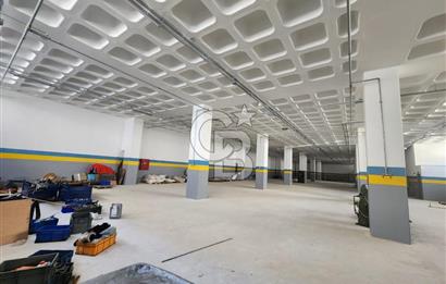 Silivri Selimpaşa Kiralık Fabrika & Üretim Tesisi
