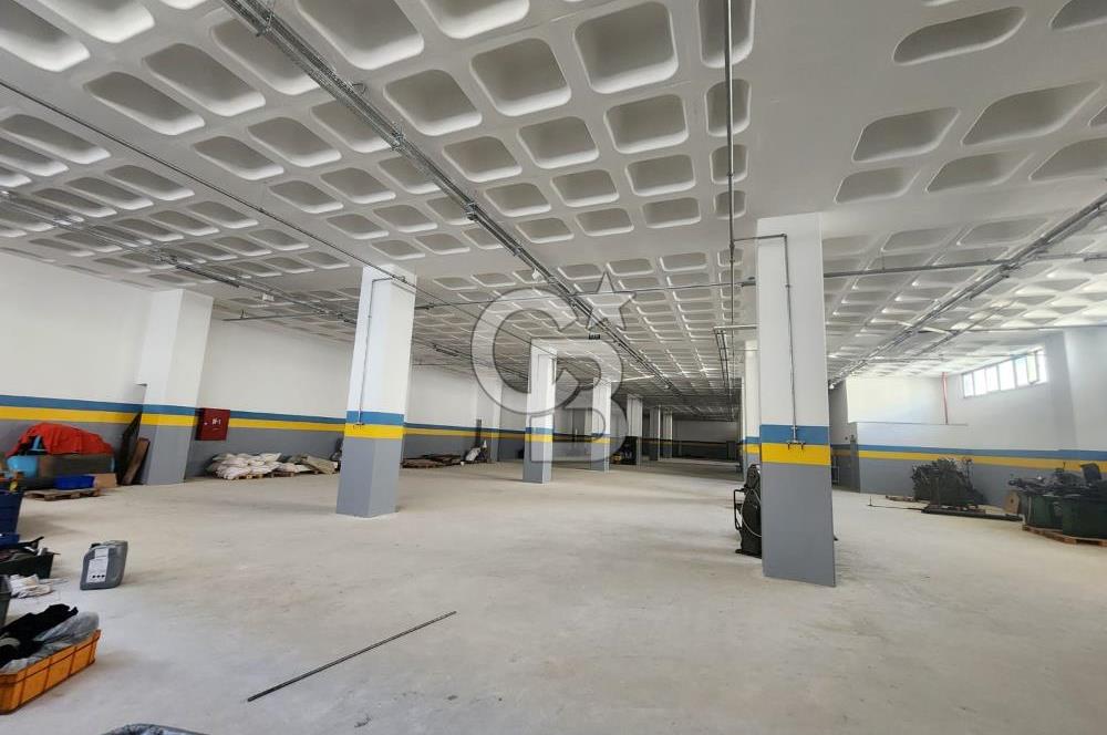 Silivri Selimpaşa Kiralık Fabrika & Üretim Tesisi