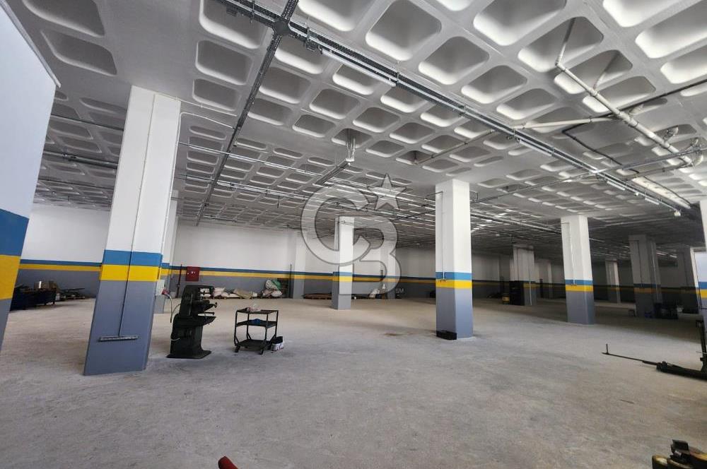 Silivri Selimpaşa Kiralık Fabrika & Üretim Tesisi
