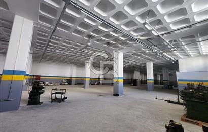 Silivri Selimpaşa Kiralık Fabrika & Üretim Tesisi