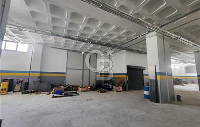 Silivri Selimpaşa Kiralık Fabrika & Üretim Tesisi