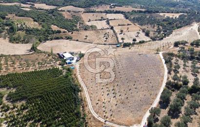 ÇANAKKALE LAPSEKİ ÇARDAK’TA FULL BOĞAZ MANZARALI SATILIK TARLA 