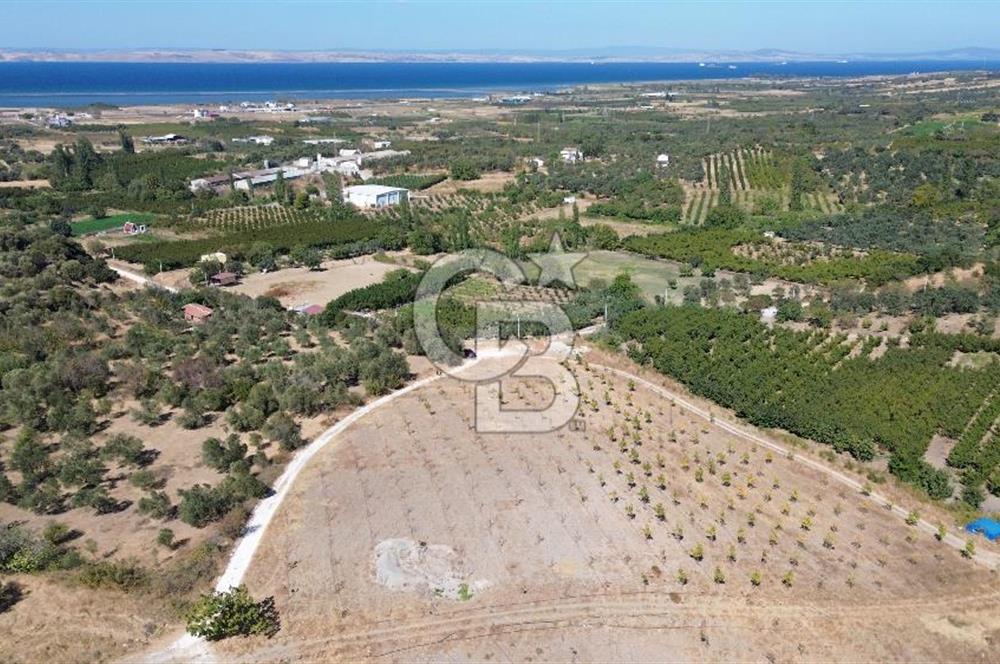 ÇANAKKALE LAPSEKİ ÇARDAK’TA FULL BOĞAZ MANZARALI SATILIK TARLA 