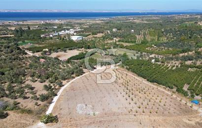 ÇANAKKALE LAPSEKİ ÇARDAK’TA FULL BOĞAZ MANZARALI SATILIK TARLA 