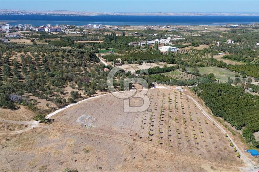 ÇANAKKALE LAPSEKİ ÇARDAK’TA FULL BOĞAZ MANZARALI SATILIK TARLA 