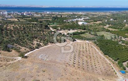 ÇANAKKALE LAPSEKİ ÇARDAK’TA FULL BOĞAZ MANZARALI SATILIK TARLA 