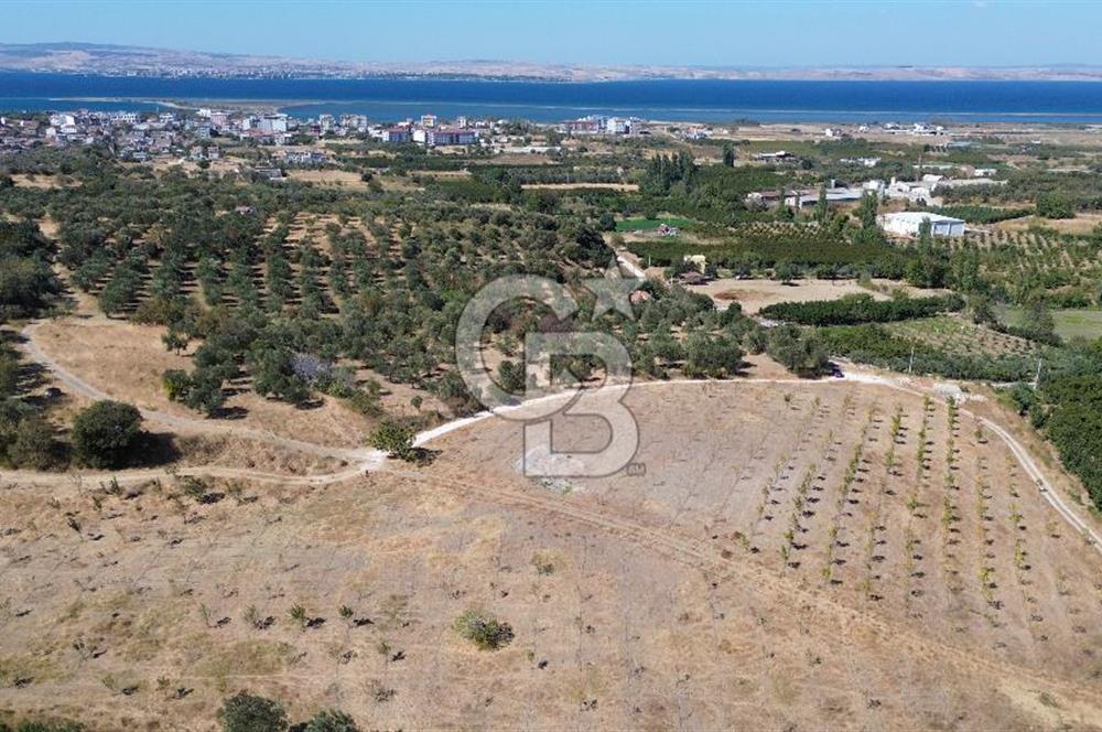 ÇANAKKALE LAPSEKİ ÇARDAK’TA FULL BOĞAZ MANZARALI SATILIK TARLA 