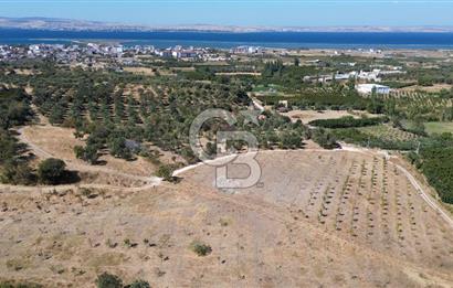 ÇANAKKALE LAPSEKİ ÇARDAK’TA FULL BOĞAZ MANZARALI SATILIK TARLA 