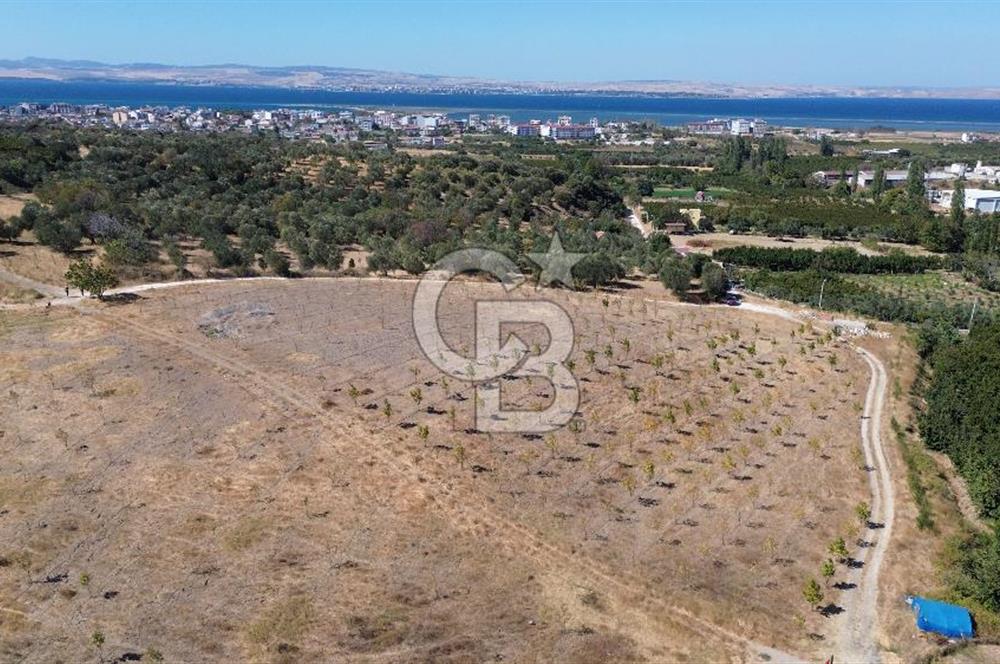 ÇANAKKALE LAPSEKİ ÇARDAK’TA FULL BOĞAZ MANZARALI SATILIK TARLA 