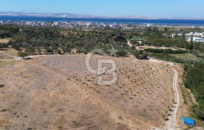 ÇANAKKALE LAPSEKİ ÇARDAK’TA FULL BOĞAZ MANZARALI SATILIK TARLA 