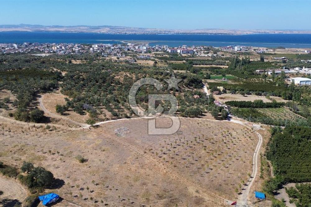 ÇANAKKALE LAPSEKİ ÇARDAK’TA FULL BOĞAZ MANZARALI SATILIK TARLA 