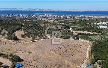 ÇANAKKALE LAPSEKİ ÇARDAK’TA FULL BOĞAZ MANZARALI SATILIK TARLA 