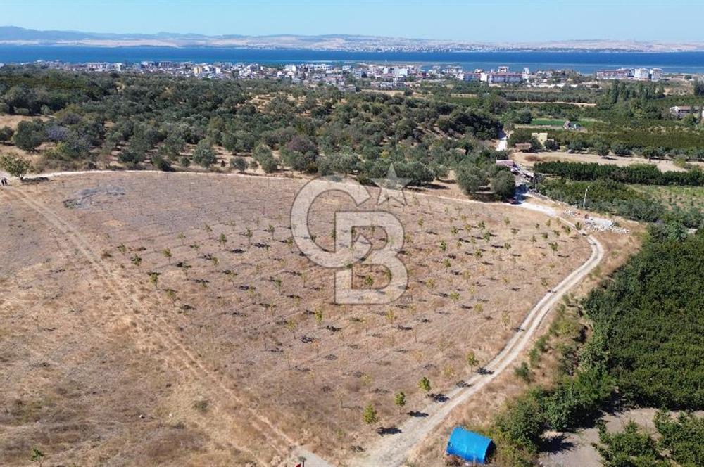 ÇANAKKALE LAPSEKİ ÇARDAK’TA FULL BOĞAZ MANZARALI SATILIK TARLA 