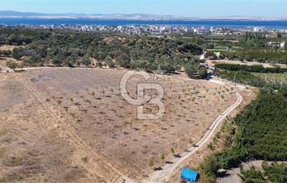 ÇANAKKALE LAPSEKİ ÇARDAK’TA FULL BOĞAZ MANZARALI SATILIK TARLA 