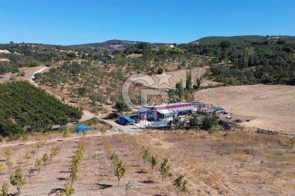 ÇANAKKALE LAPSEKİ ÇARDAK’TA FULL BOĞAZ MANZARALI SATILIK TARLA 