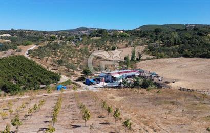 ÇANAKKALE LAPSEKİ ÇARDAK’TA FULL BOĞAZ MANZARALI SATILIK TARLA 