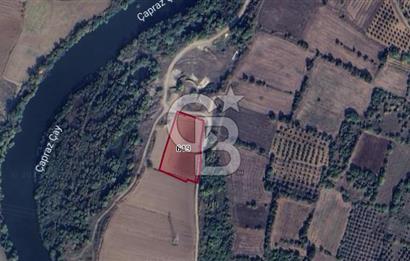 CB BLACK'TAN KARACABEY HARMANLI'DA SATILIK TARLA