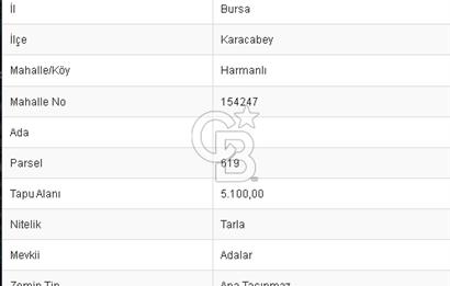 CB BLACK'TAN KARACABEY HARMANLI'DA SATILIK TARLA
