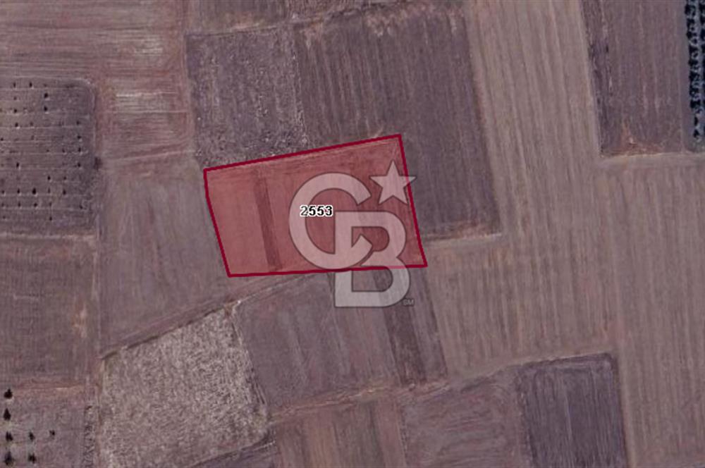 CB BLACK'TAN KARACABEY HARMANLI'DA 4750 M2 SATILIK TARLA