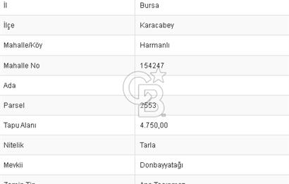 CB BLACK'TAN KARACABEY HARMANLI'DA 4750 M2 SATILIK TARLA