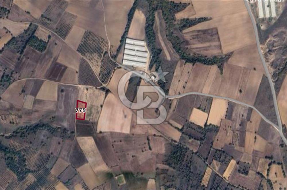 CB BLACK'TAN KARACABEY HARMANLI'DA SATILIK TARLA