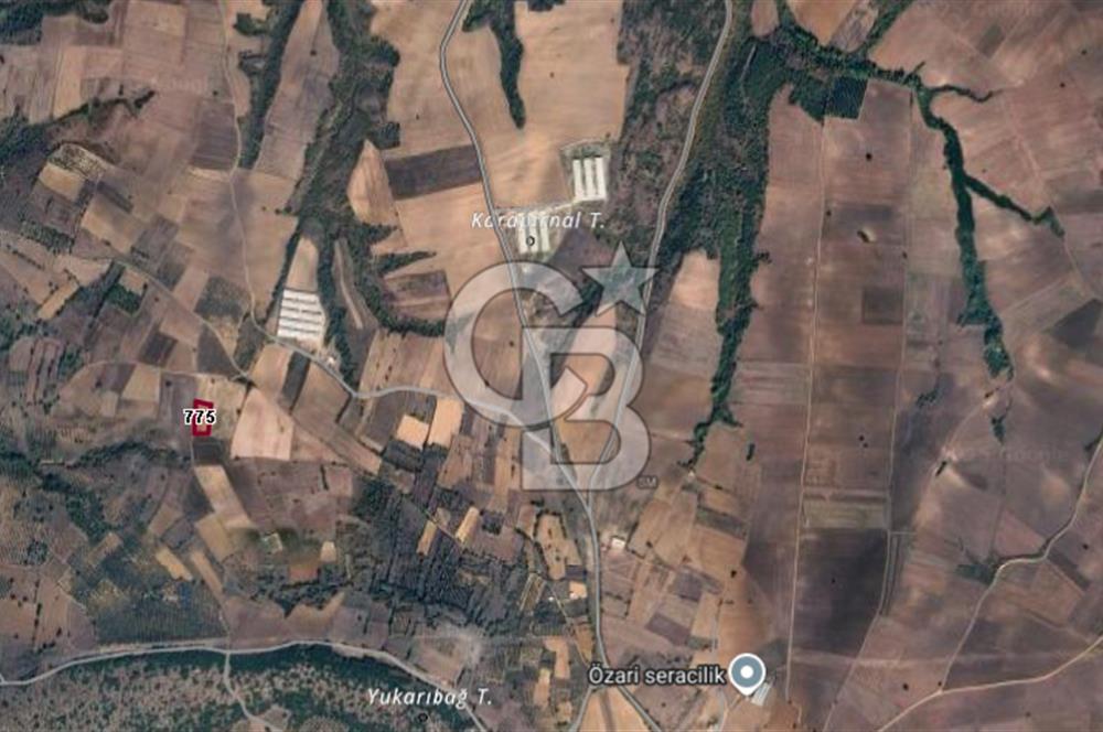 CB BLACK'TAN KARACABEY HARMANLI'DA SATILIK TARLA