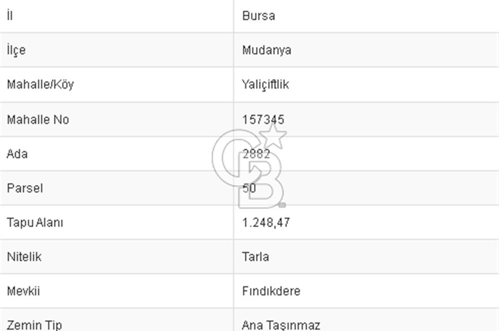 CB BLACK'TAN MUDANYA YALIÇİFTLİK'TE YATIRIMLIK TARLA