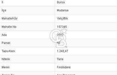 CB BLACK'TAN MUDANYA YALIÇİFTLİK'TE YATIRIMLIK TARLA